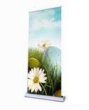 banner stands